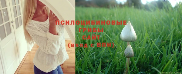 ПСИЛОЦИБИНОВЫЕ ГРИБЫ Богородск