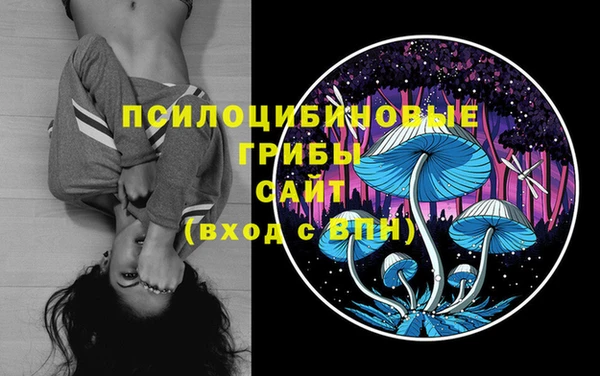 ПСИЛОЦИБИНОВЫЕ ГРИБЫ Богородск