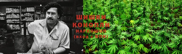 ПСИЛОЦИБИНОВЫЕ ГРИБЫ Богородск