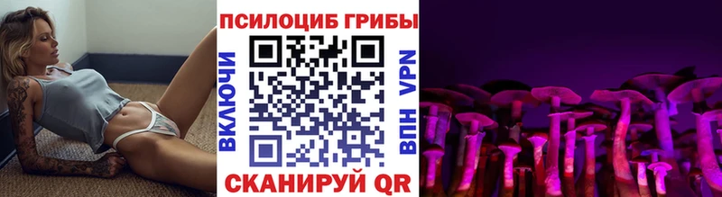 Псилоцибиновые грибы прущие грибы Светогорск